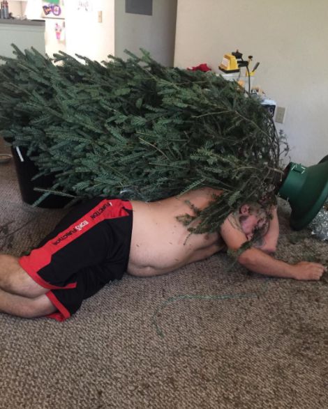 papas-que-nao-deviam-ter-saido-da-cama-1