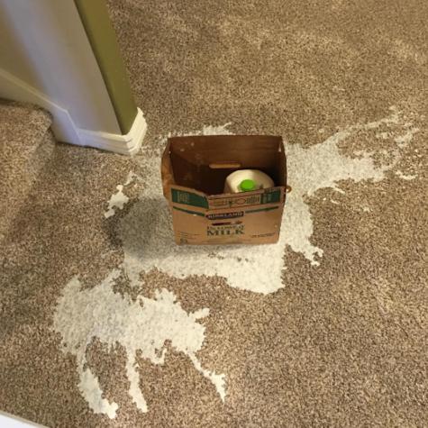 papas-que-nao-deviam-ter-saido-da-cama-11