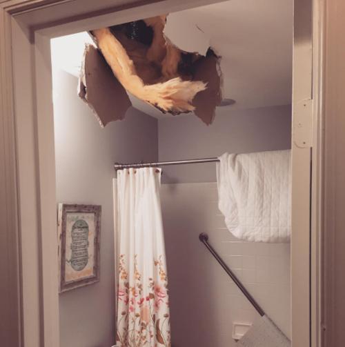 papas-que-nao-deviam-ter-saido-da-cama-15