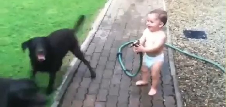 bebe a rir com mangueira e dois caes