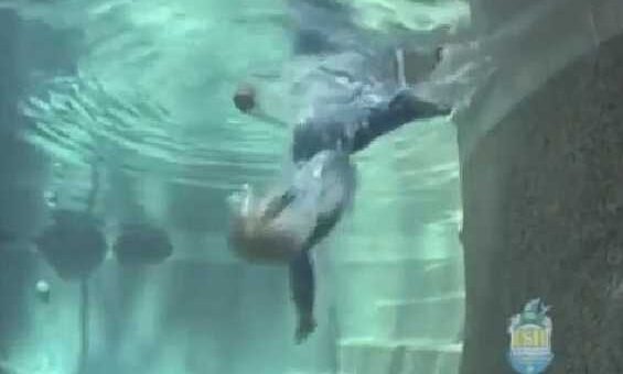 bebe atira se piscina