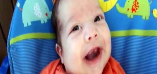 bebe 1 ano em 365 segundos