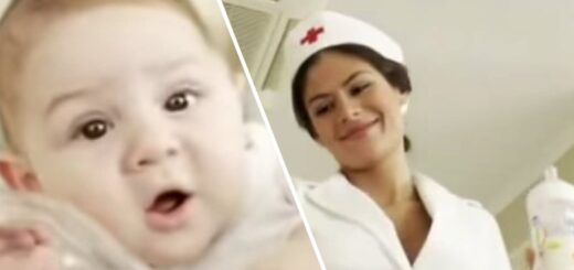 amamentacao de 1 qualidade