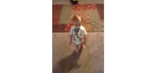 bebe imita mae gravida a andar